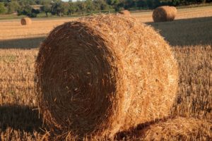 Strohballen in der Natur